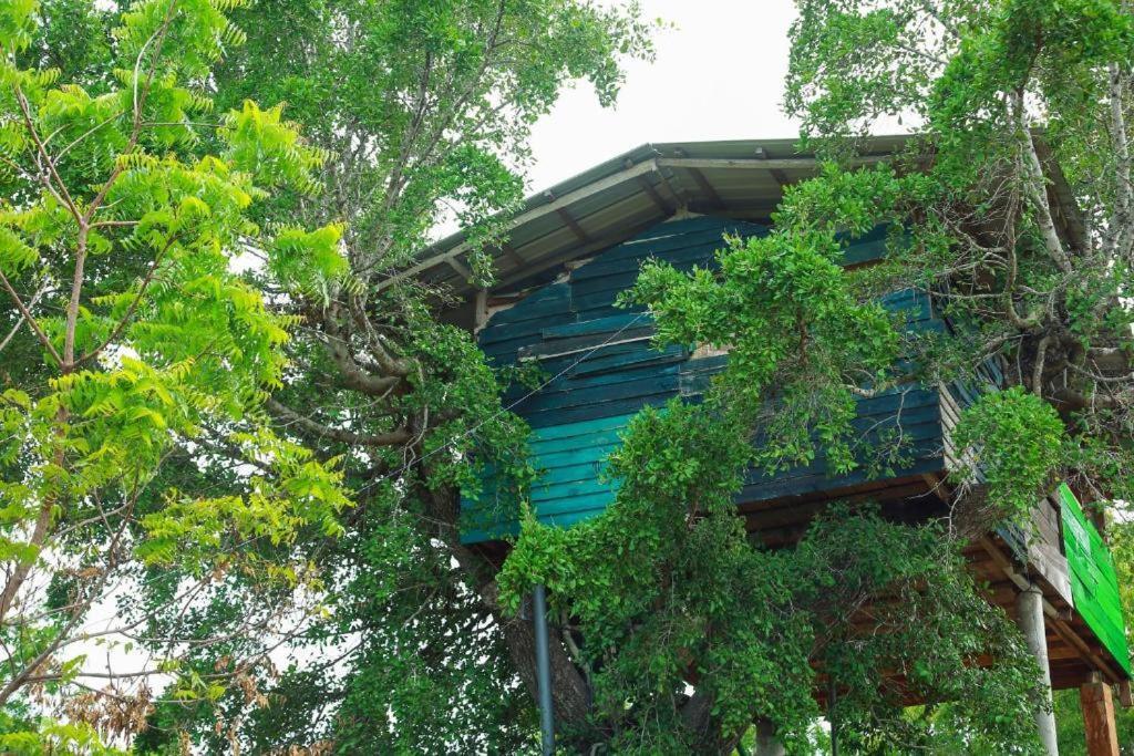 Yala Tree House Safari Hotel Exterior foto